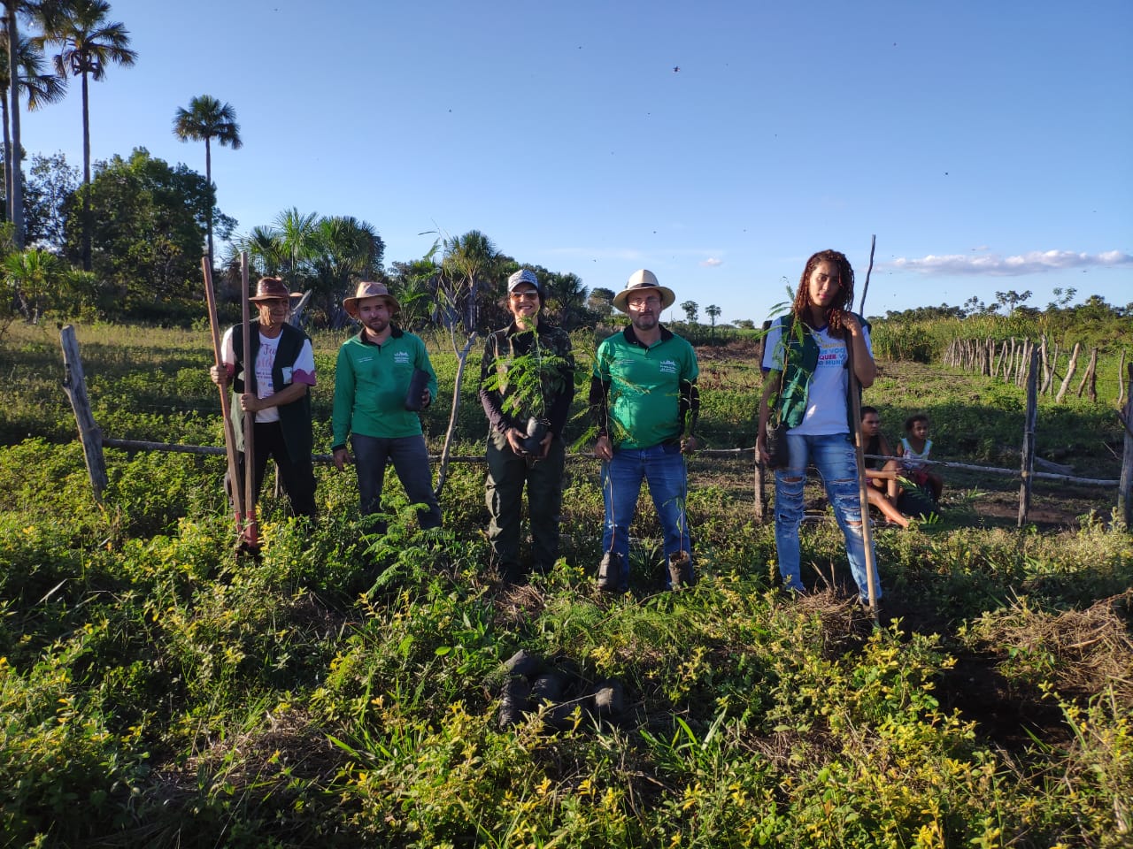 SEMMA realiza o plantio e a manutenção das mudas de espécies nativas plantadas e decorrentes das semeaduras realizadas na Vereda do Mutum.